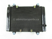 A new aftermarket Radiator for a 2005 PRAIRIE 700 Kawasaki OEM Part # 39060-0011 for sale. Kawasaki ATV? Check out online catalog for parts that fit your unit.