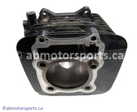 Used cylinder core from a 1994 Suzuki King Quad 300 OEM part # 11210-19B82-0F0 for sale