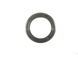 A used Armature Plate from a 1996 XPLORER 300 Polaris OEM Part # 5211148 for sale. Polaris ATV salvage parts! Check our online catalog for parts!