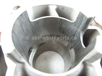 A used Cylinder Core from a 2006 RMK 700 Polaris OEM Part # 3021562 for sale. Check out Polaris snowmobile parts in our online catalog!