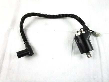 A used Ignition Coil from a 2009 DRAGON RMK 800 Polaris OEM Part # 4012136 for sale. Find your Polaris snowmobile parts in our online catalog!