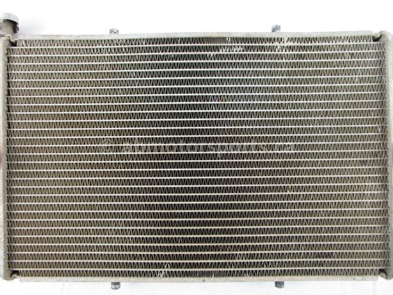 Radiator - Yamaha WOLVERINE R SPEC| Alberta Motorsports Sales