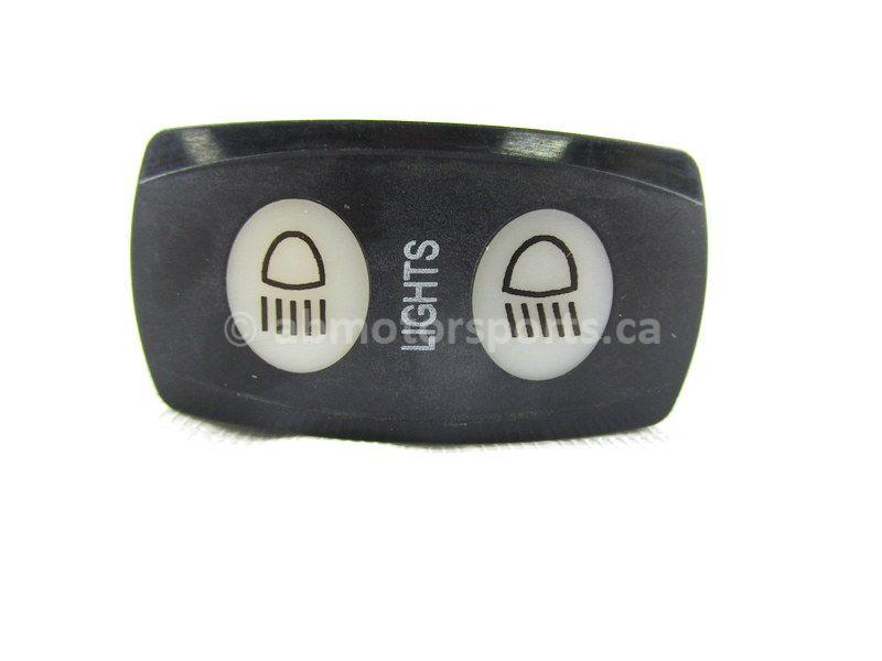 Gato  AR-UT-ST-0272-0052-2-ARCTIC-