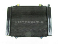 A new aftermarket Radiator for a 2005 PRAIRIE 700 Kawasaki OEM Part # 39060-0011 for sale. Kawasaki ATV? Check out online catalog for parts that fit your unit.