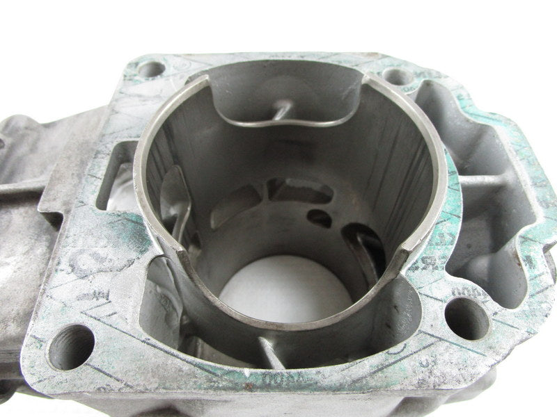 Cylinder Core - Skidoo 800 SUMMIT HO X| Alberta Motorsports